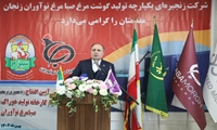 خودکفایی کامل در تولید گوشت سفید حاصل شد/ زمینه صادرات در ماه‌های آینده